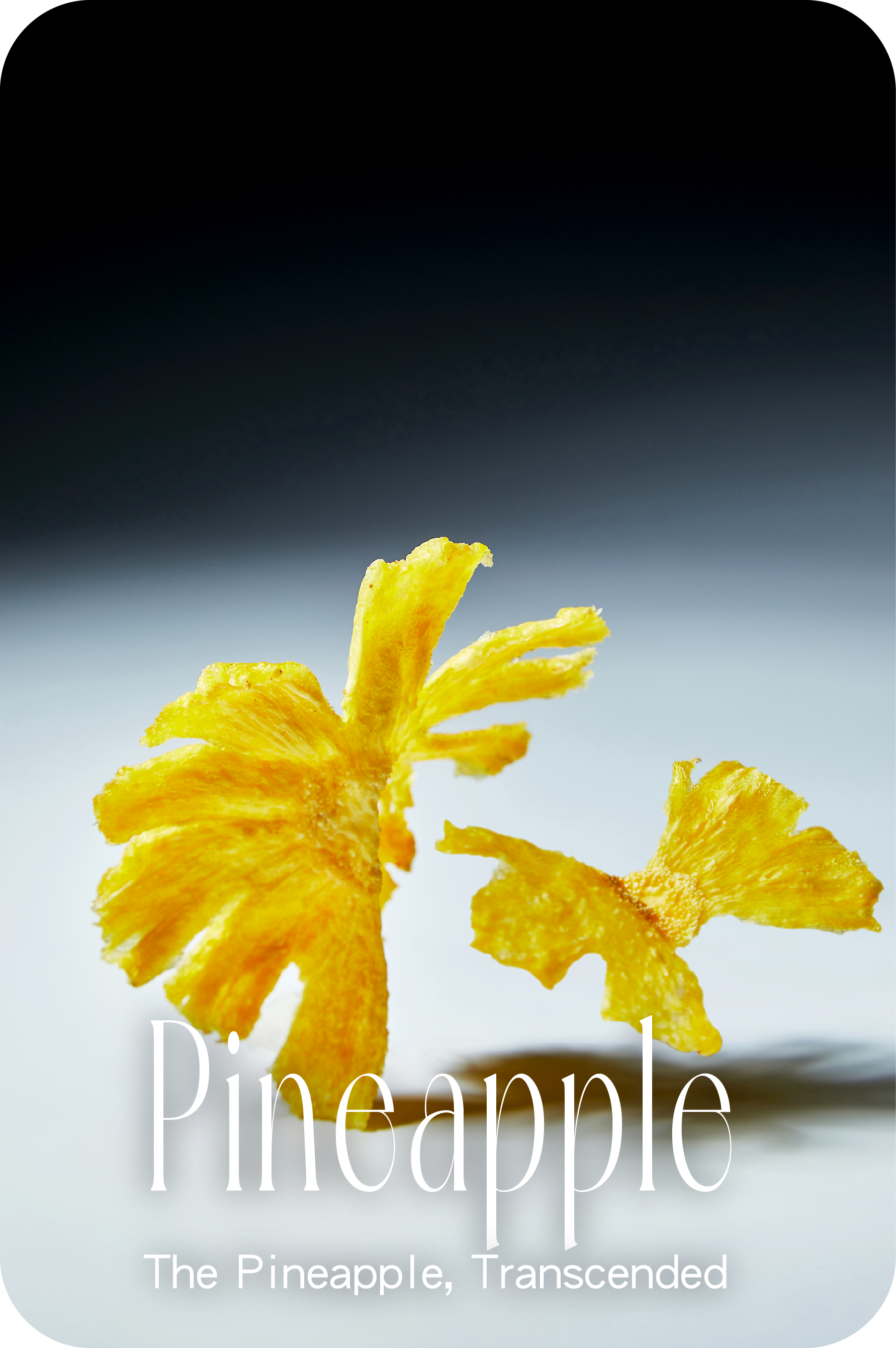 Pineapple 2
