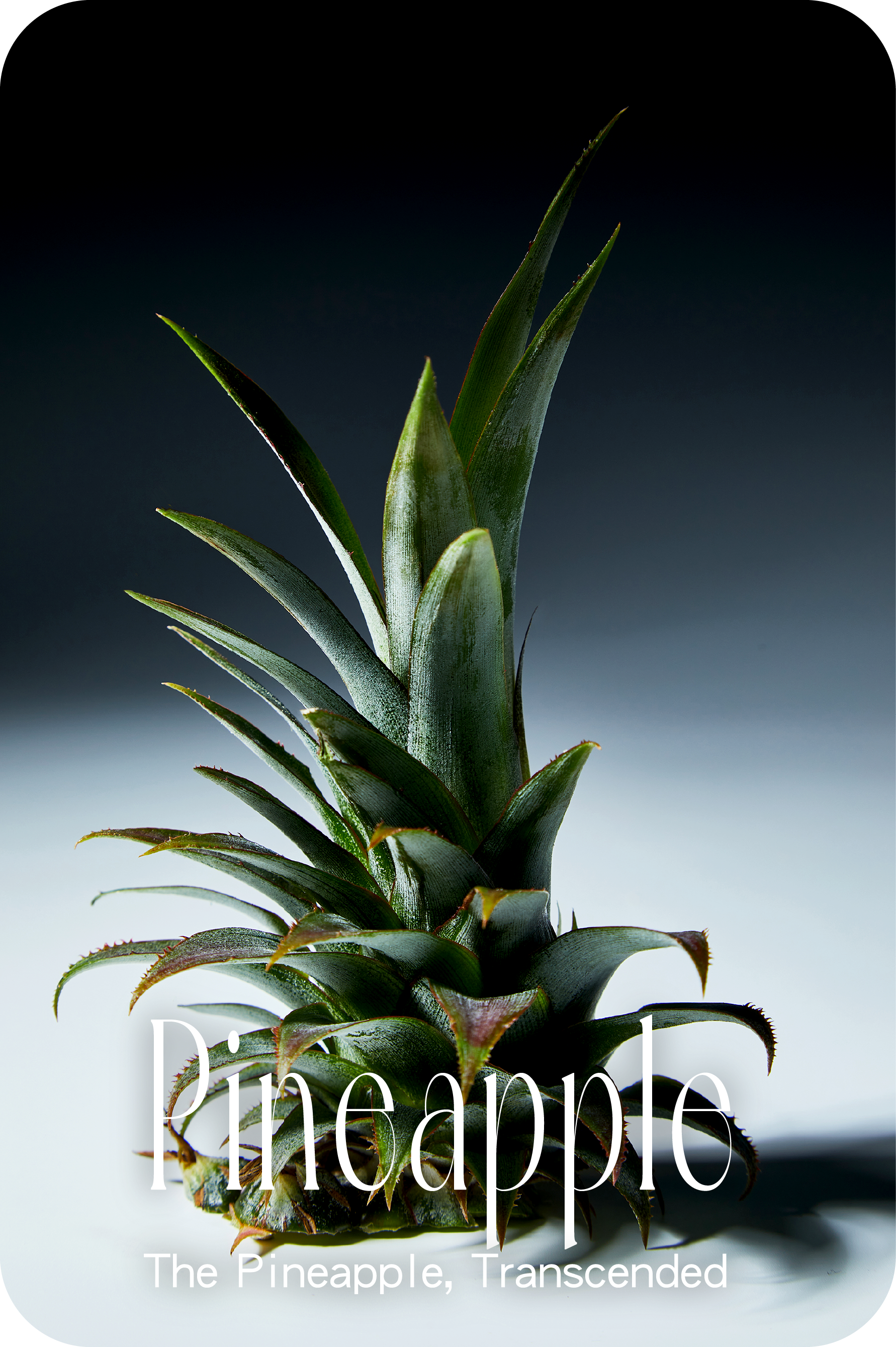Pineapple 3